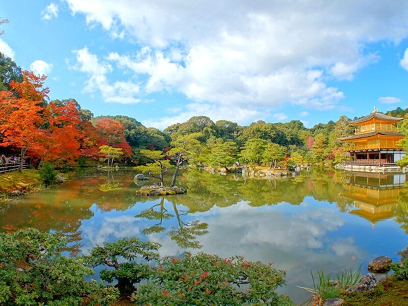 金閣寺の紅葉