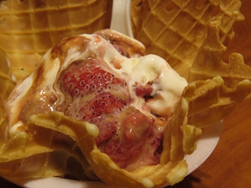 PowerShot SX50 HS 実写画像08