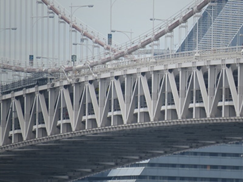 PowerShot SX50 HS 実写画像光学望遠端