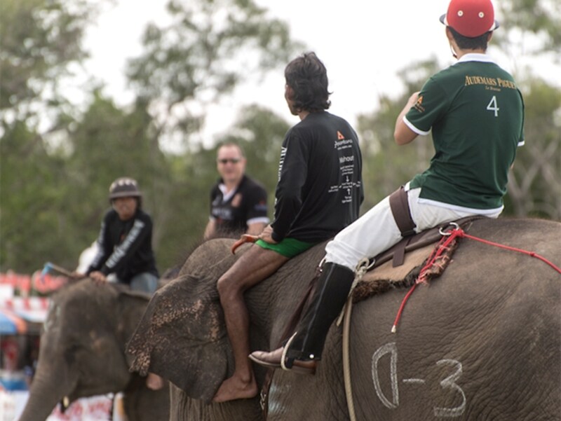 象には選手の他、マホーと呼ばれる象使いが同乗
