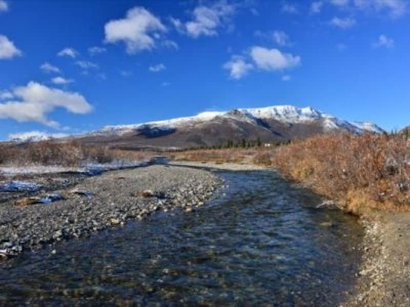 パーキングから約20分で川に到着