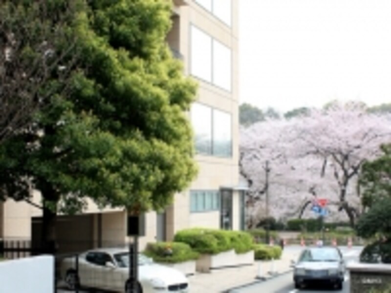 イメージフォト