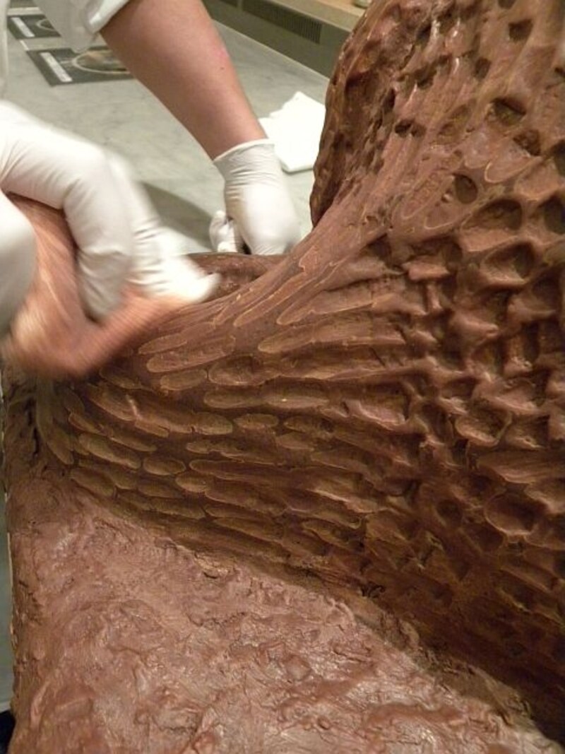 チョコレートで「忠犬ハチ公」の毛並みを表現