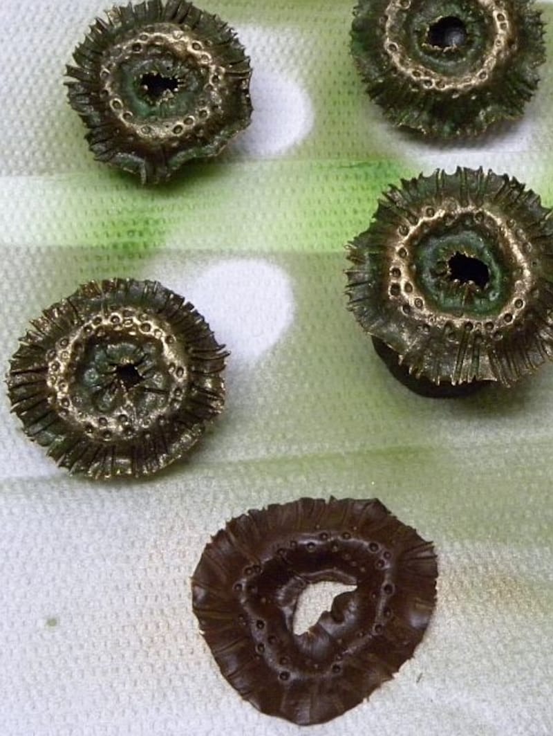 横田秀夫シェフが作られたチョコレートのイソギンチャク