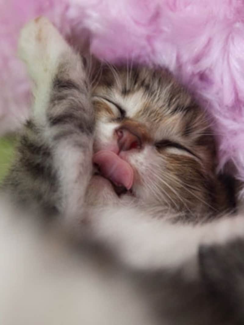 キレイキレイの途中でも…