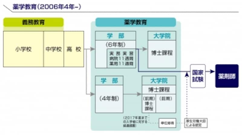 薬剤師undefined教育