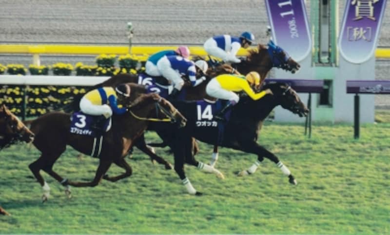 サラブレッドのレーススタイルを決める 脚質 とは 競馬 all about