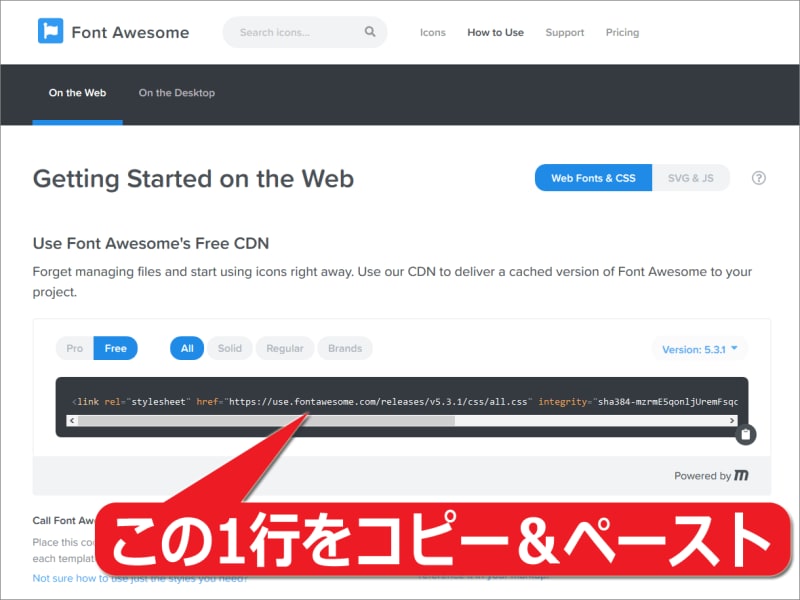 Font Awesome 5はCDN経由で読み込めるため、指定の1行を自サイトのHTMLに転記するだけでセットアップは完了する