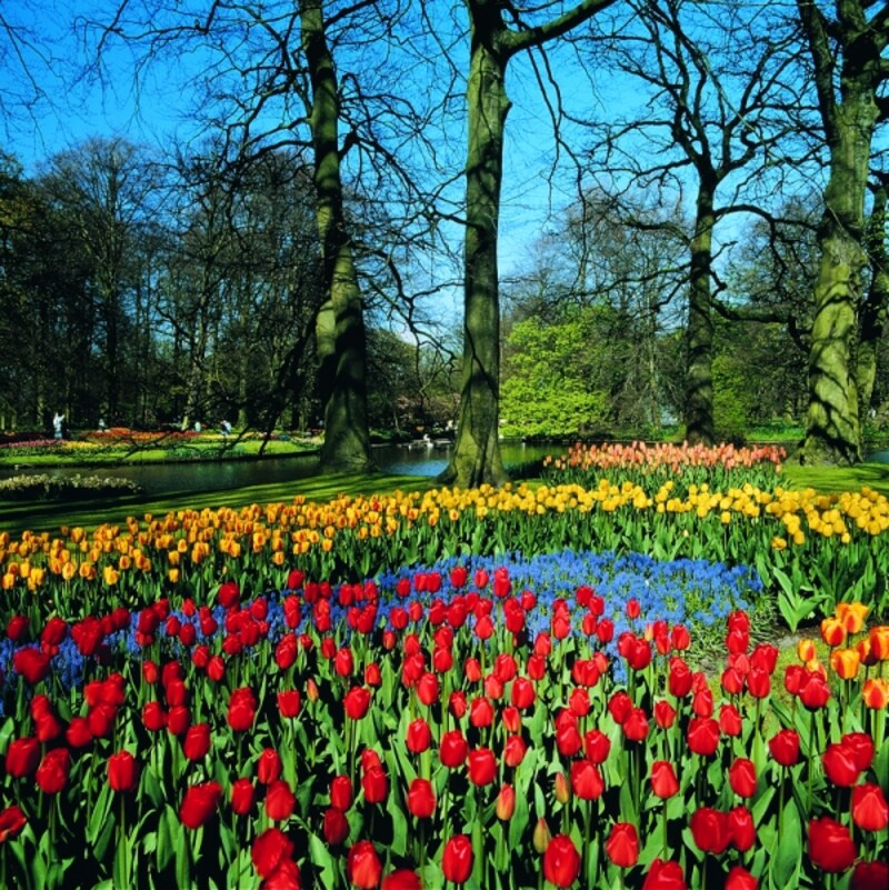 360度、花で溢れた風景が楽しめる