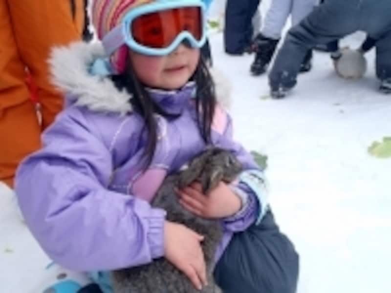 うさちゃんパーク