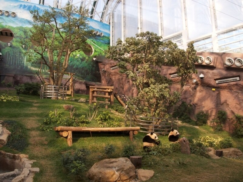 マカオ・ジャイアントパンダ・パビリオン