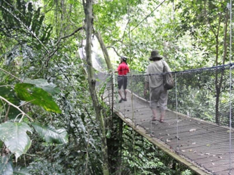 ブンガラヤ・アイランド・リゾート