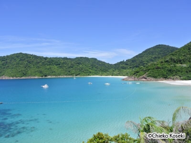 エア・アジアＸ