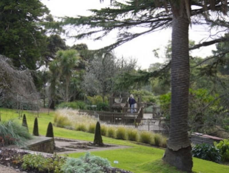 ヘロンズウッドガーデン