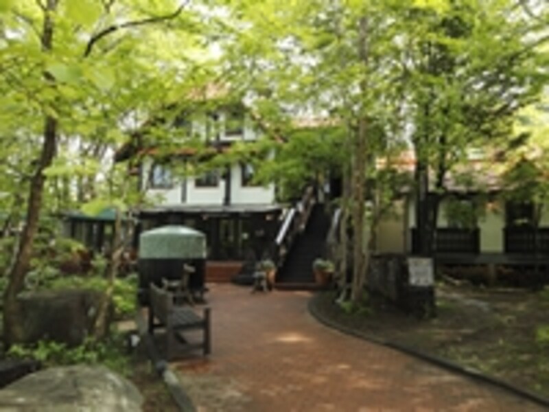 萌木の村