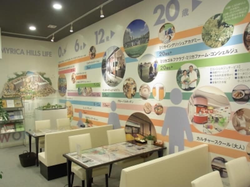 ミリカヒルズ,ソフトサービス