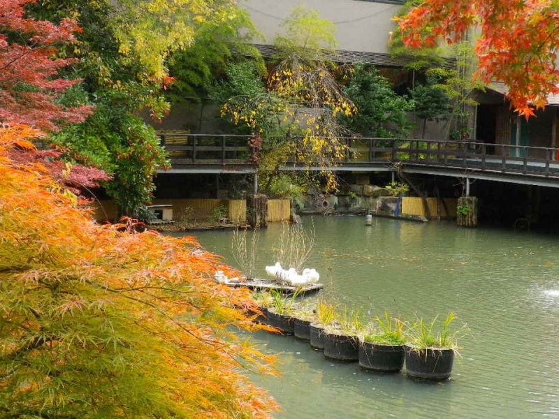 本殿の左わきの道をぬけると、そこには池が