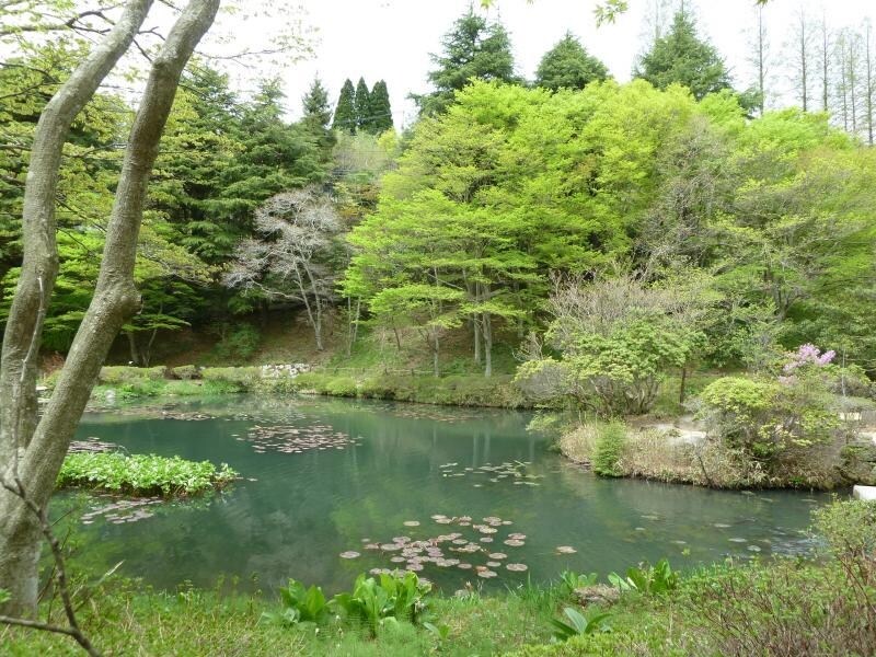 六甲高山植物園