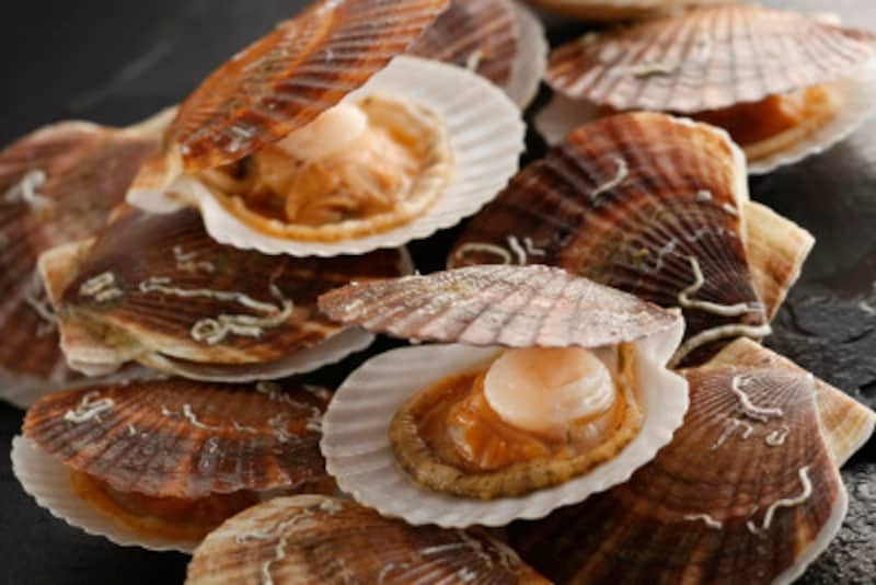 魚介にはタウリン含有量が高いものが多い