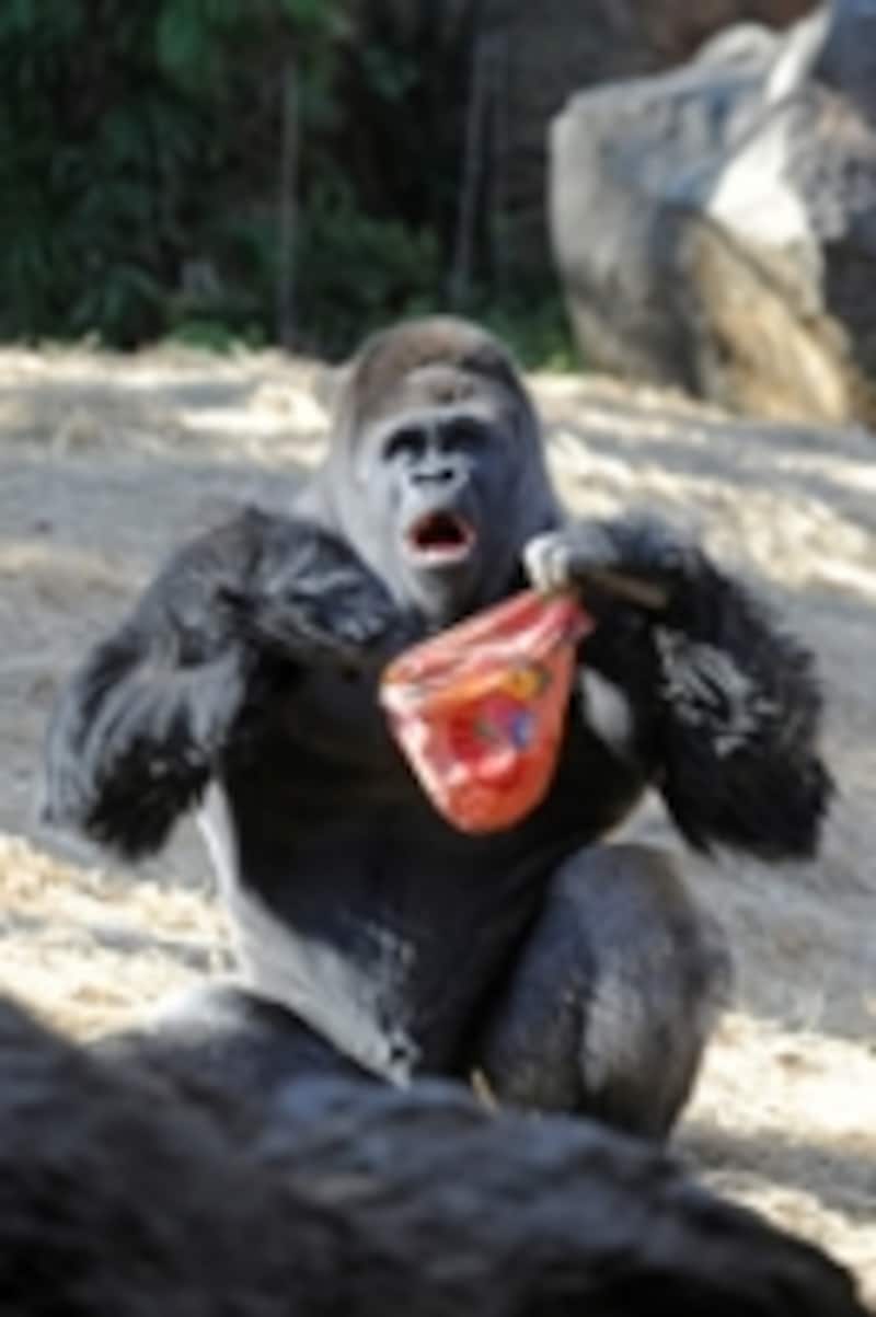 上野動物園