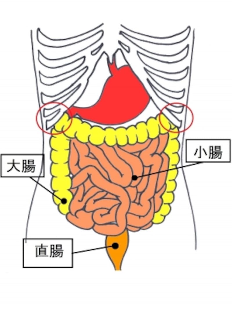 食べ過ぎを解消するストレッチ 腸を整え肥満予防 ストレッチ All About