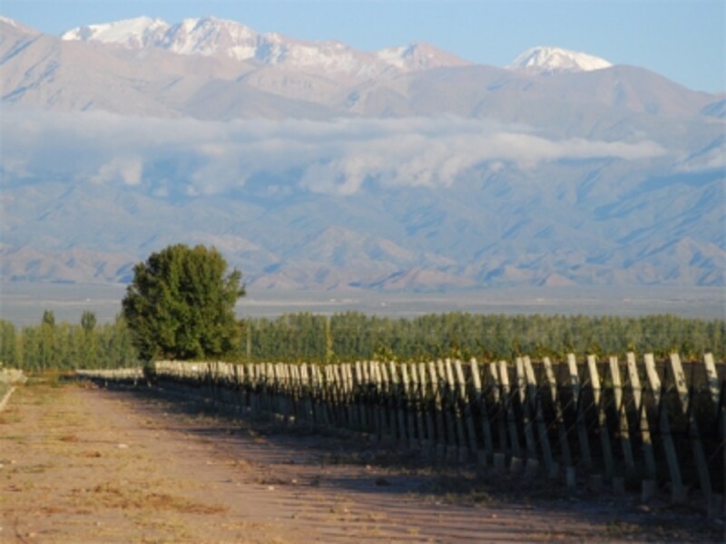 アンデス山脈の麓でワインを楽しむ贅沢なひととき