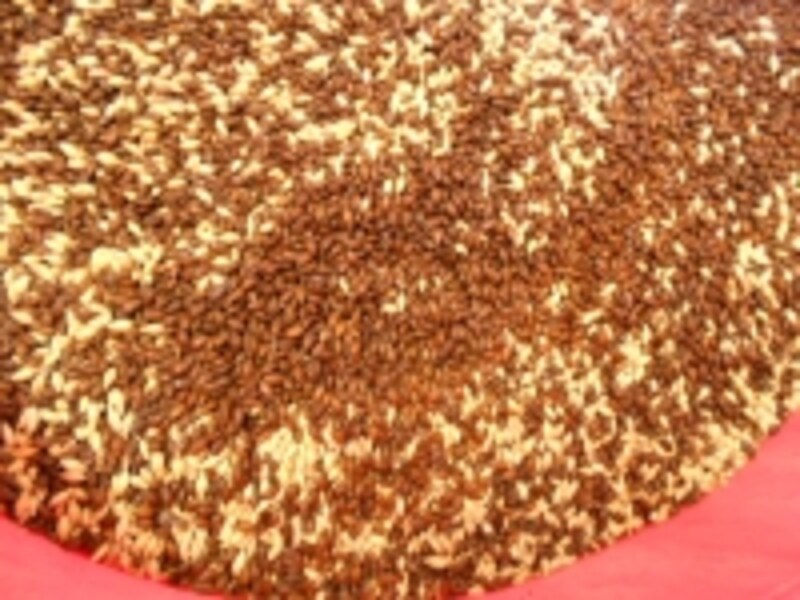 チョコレート麦芽