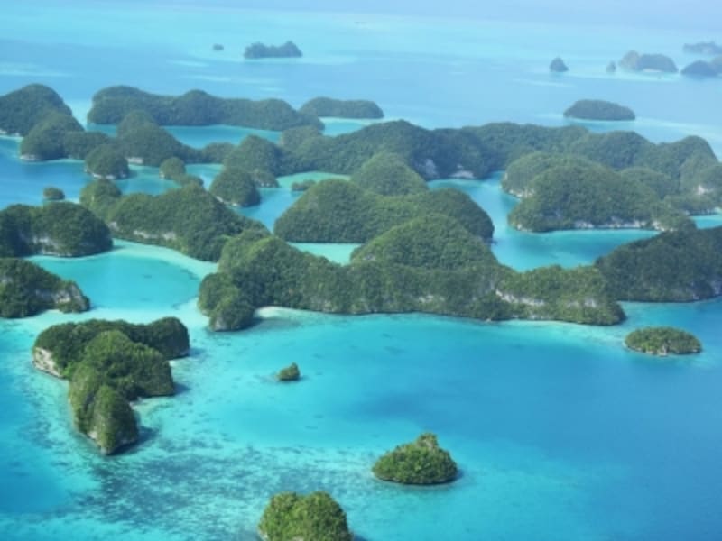 子連れundefinedビーチundefined旅行undefined海外undefinedおすすめundefinedパラオ