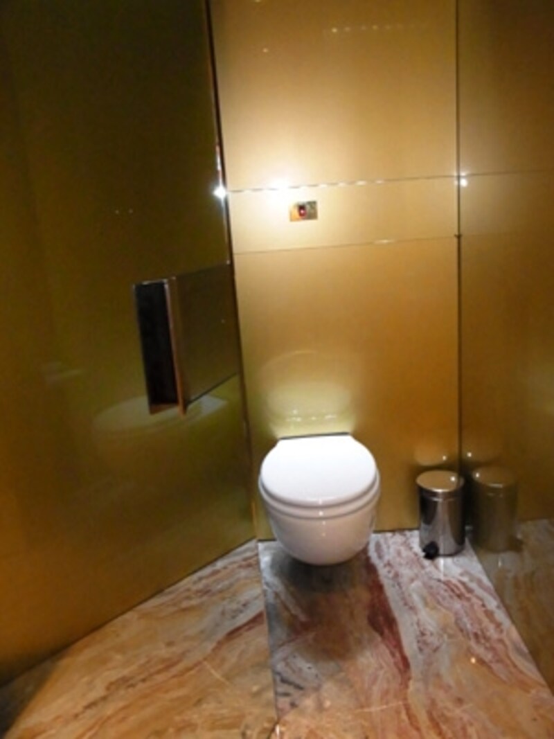 地下にあるトイレット（扉を半分開けた状態）