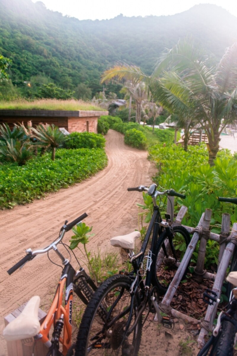 リ、リゾート？？と思ってしまう素朴な風景ですが、 これも敷地の一角。ゲストには移動用の自転車が用意されています。