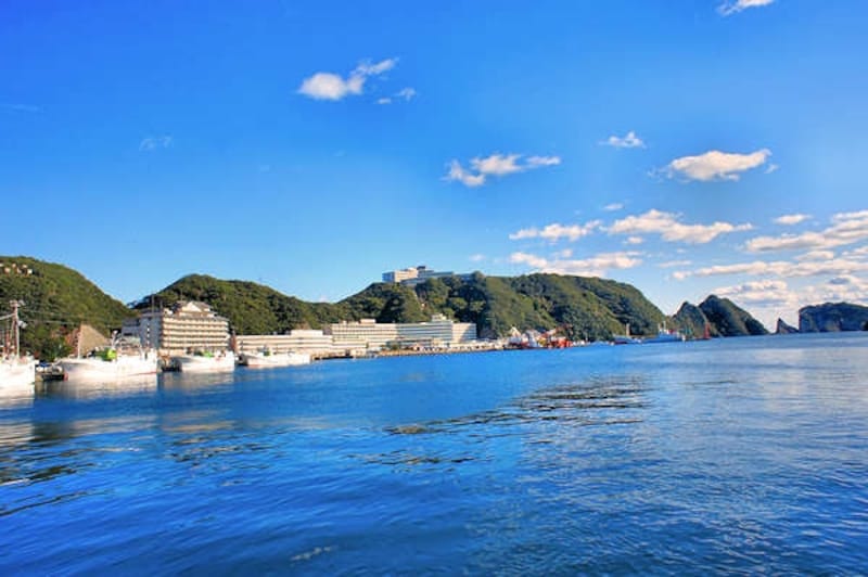 南紀勝浦温泉 ホテル浦島の全景