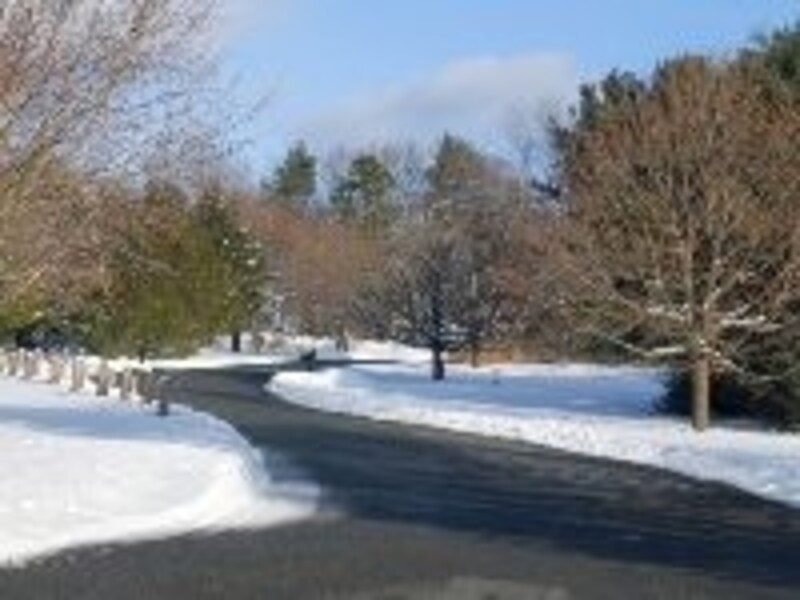 雪道