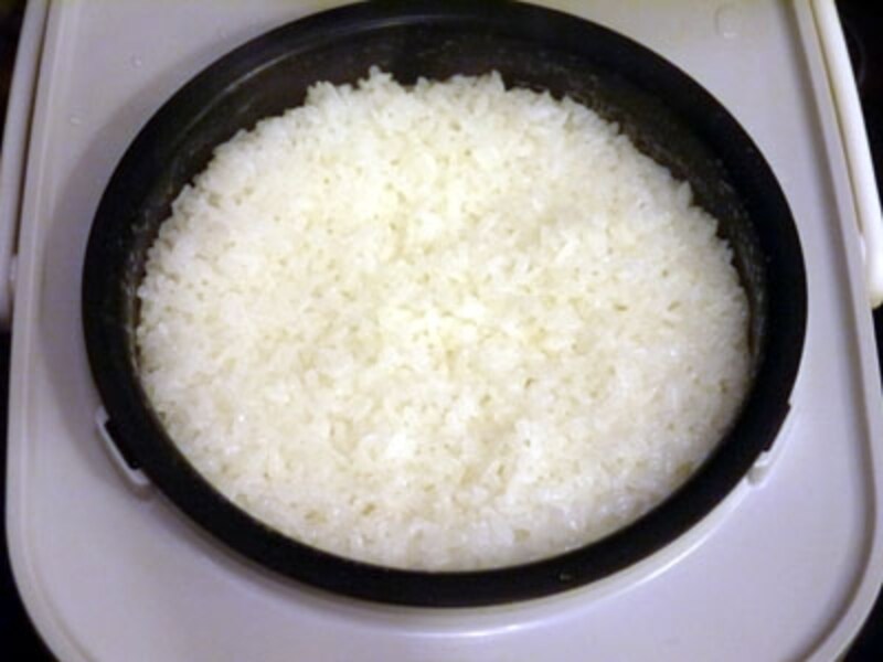 タイガー・大人のtacook【JKU-A550】