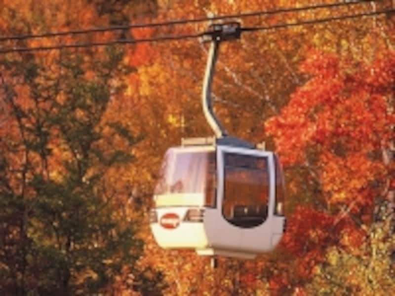 こちらは有料の山頂へのゴンドラ。山頂にもレストハウスがあり、食事も可 (C) Station Mont Tremblant