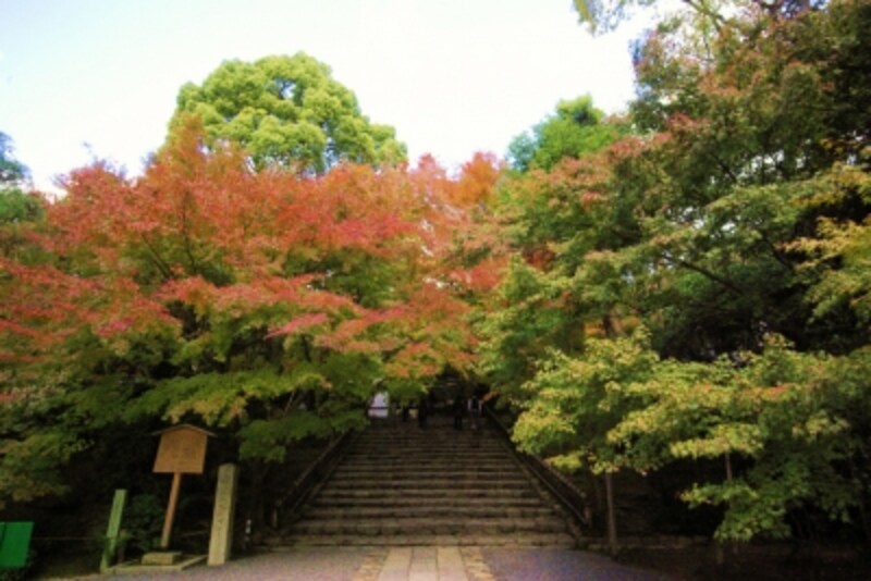 もみじ狩りの名所としても名高い 龍安寺 紅葉スポット All About もみじ狩りの名所としても名高い 龍安寺 紅葉スポット All About