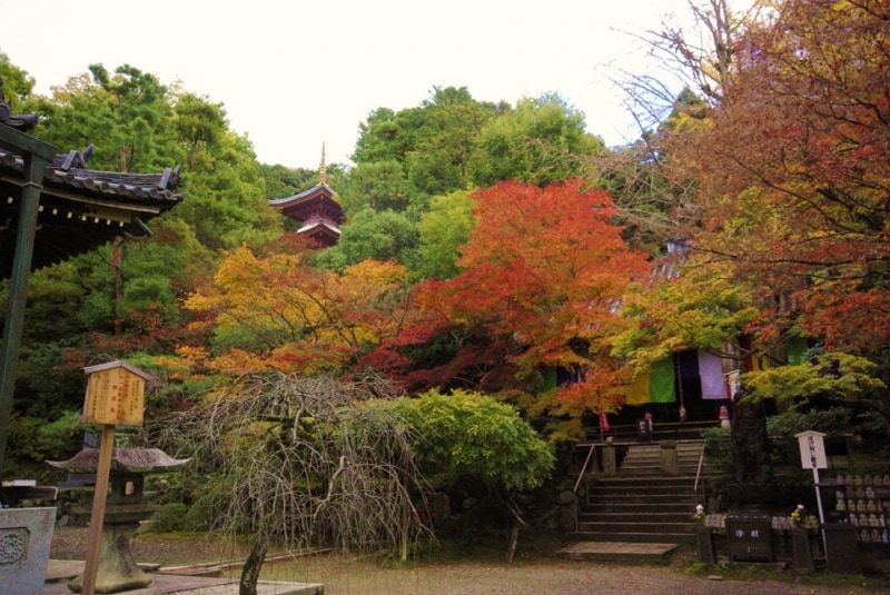 今熊野観音寺 紅葉