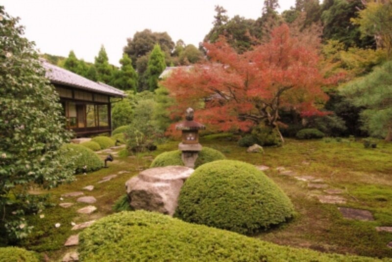 書院から眺める苔庭の紅葉が美しい 雲龍院 紅葉スポット All About 書院から眺める苔庭の紅葉が美しい 雲龍院 紅葉スポット All About