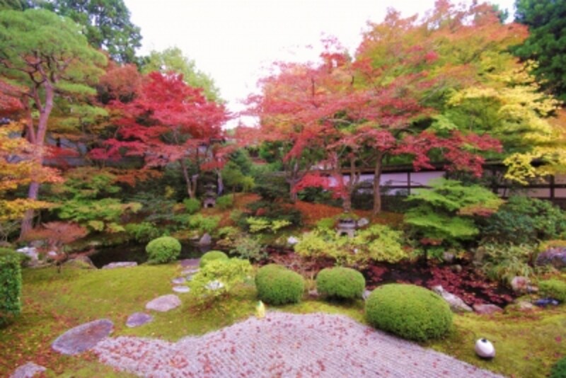 書院から眺める苔庭の紅葉が美しい 雲龍院 紅葉スポット All About
