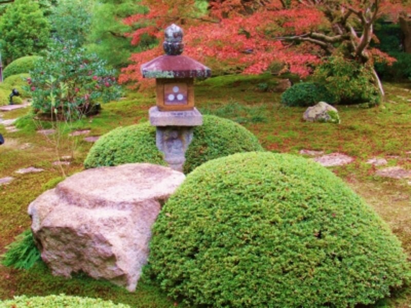 書院から眺める苔庭の紅葉が美しい 雲龍院 紅葉スポット All About 書院から眺める苔庭の紅葉が美しい 雲龍院 紅葉スポット All About