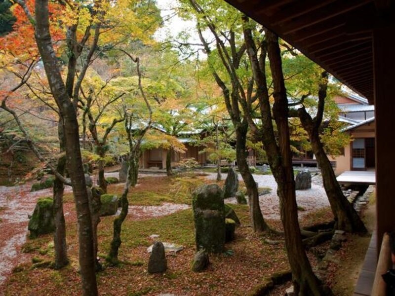 光明禅寺