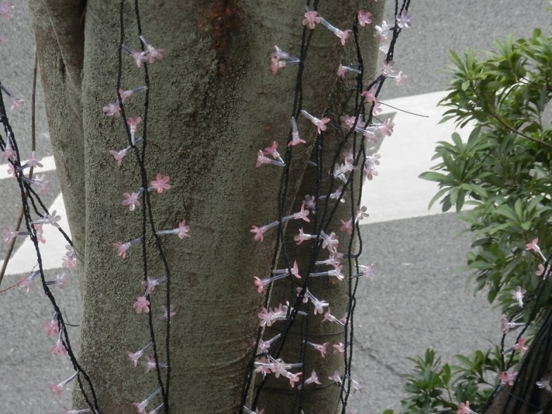 使っているLEDは一つ一つが桜の花びらをモチーフにしたもの