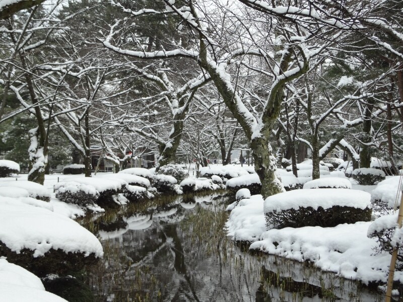園内には曲水や池がいくつもあり、優美さをさらに増しています