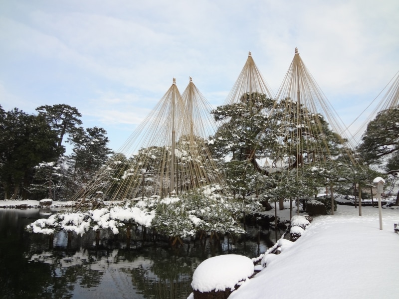 唐崎松。左手前は霞ヶ池