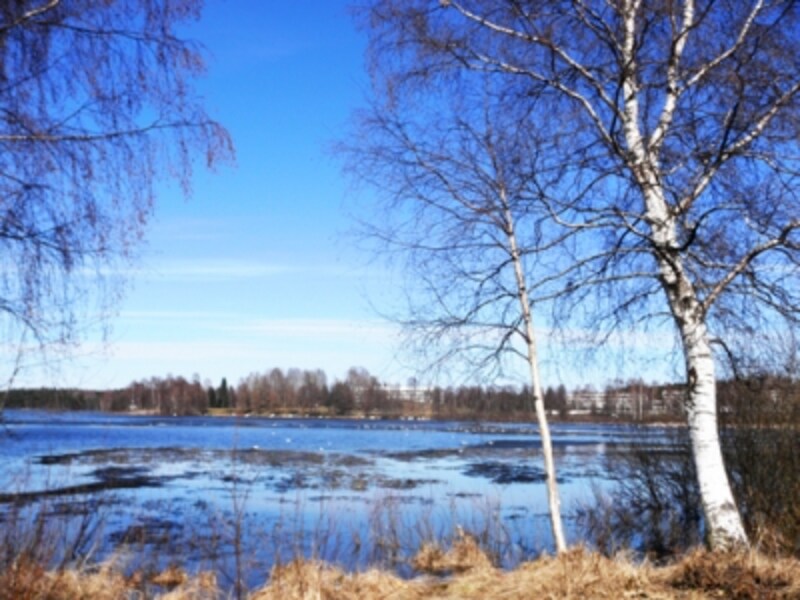 2 5 フィンランドの気候 四季と服装アドバイス フィンランド All About