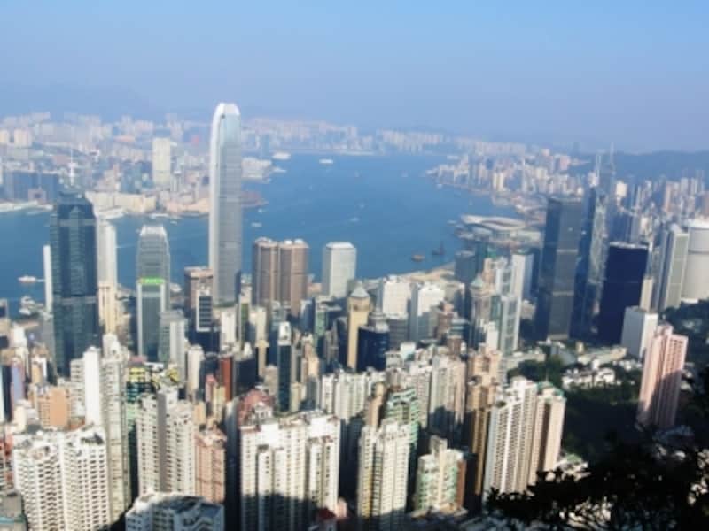 地元の人の散歩道にもなっている