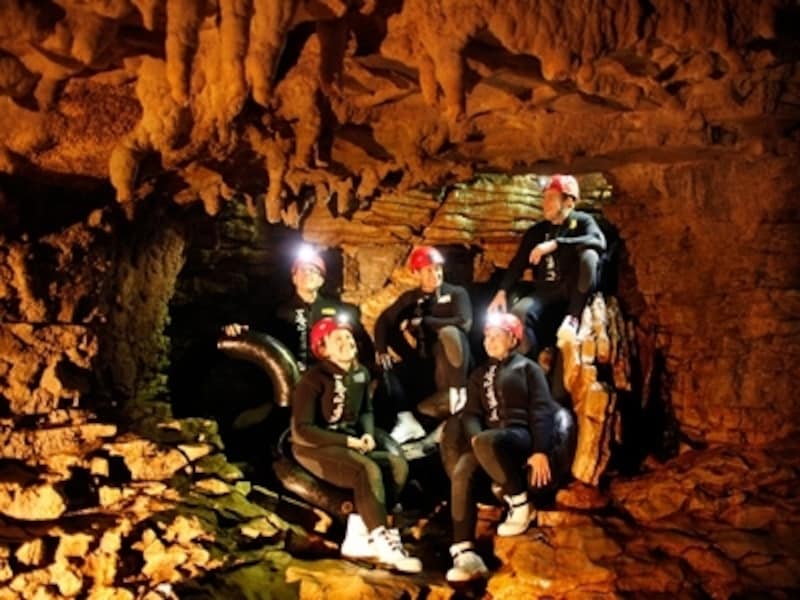 ワイトモでは珍しいツチボタルを観察したり、洞窟探検アドベンチャーを体験できる