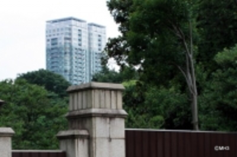 イメージフォト