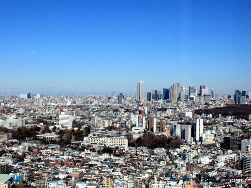 40階プレミアム住戸から新宿方面を望む