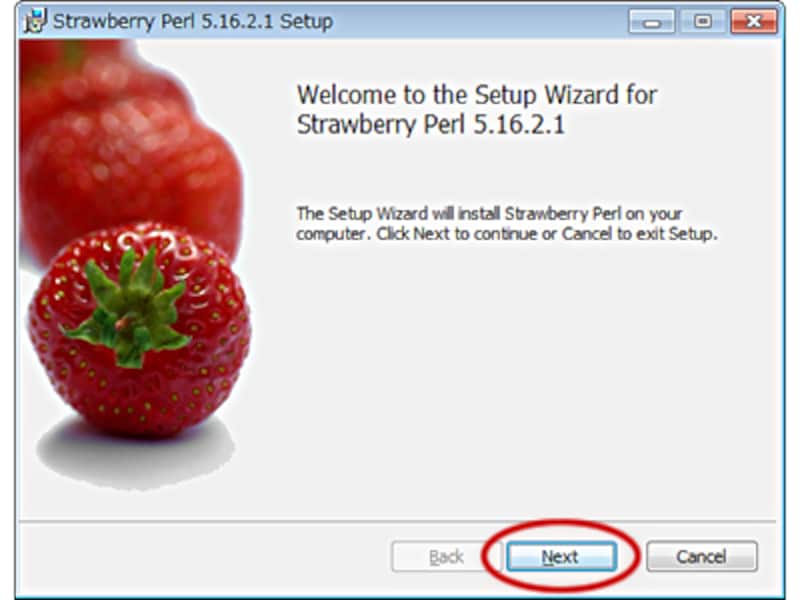 Strawberry Perl のインストール画面(1)