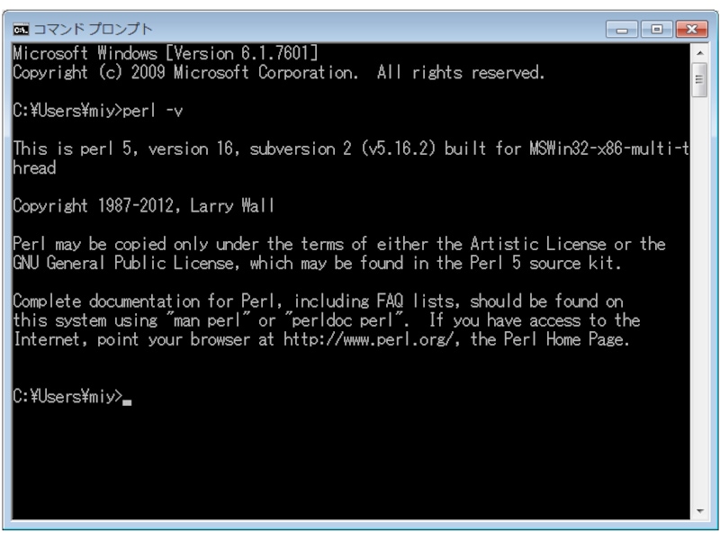 Windows コマンドプロンプトからの Perl バージョン確認